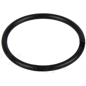 Wema Stor o-ring til S3 tankgiver