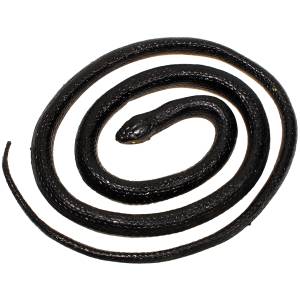 1852 Måkejager Orm, sort